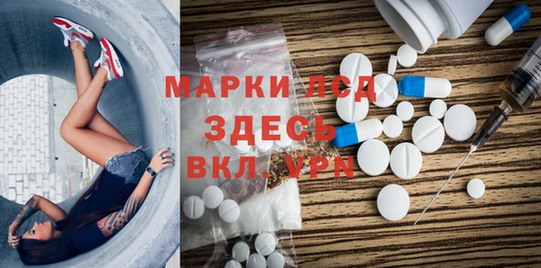гашик Козловка