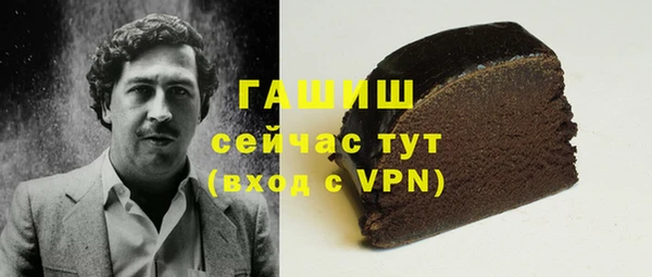 гашик Козловка