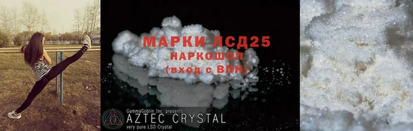 гашик Козловка