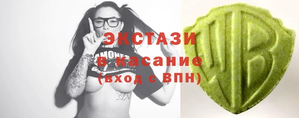 гашик Козловка