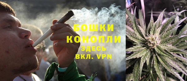 гашик Козловка