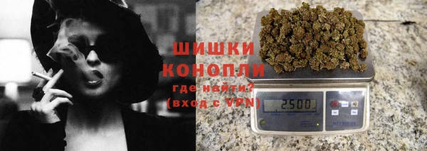 гашик Козловка