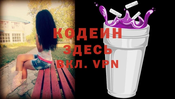 гашик Козловка
